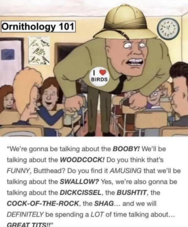 Untitled meme