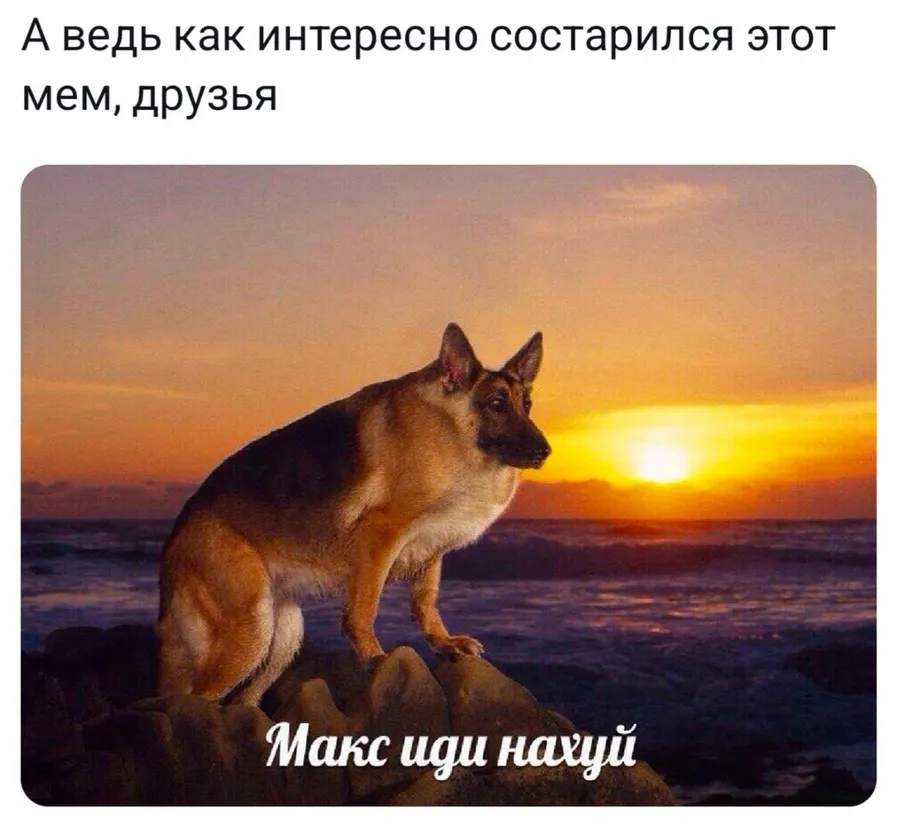 Untitled meme