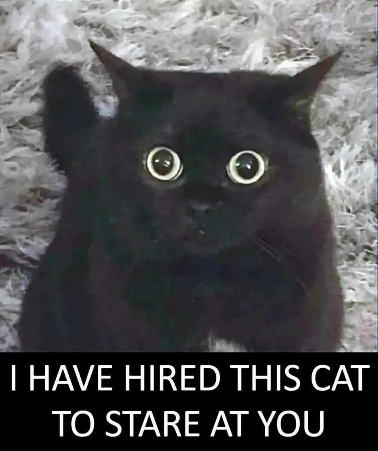 Untitled meme