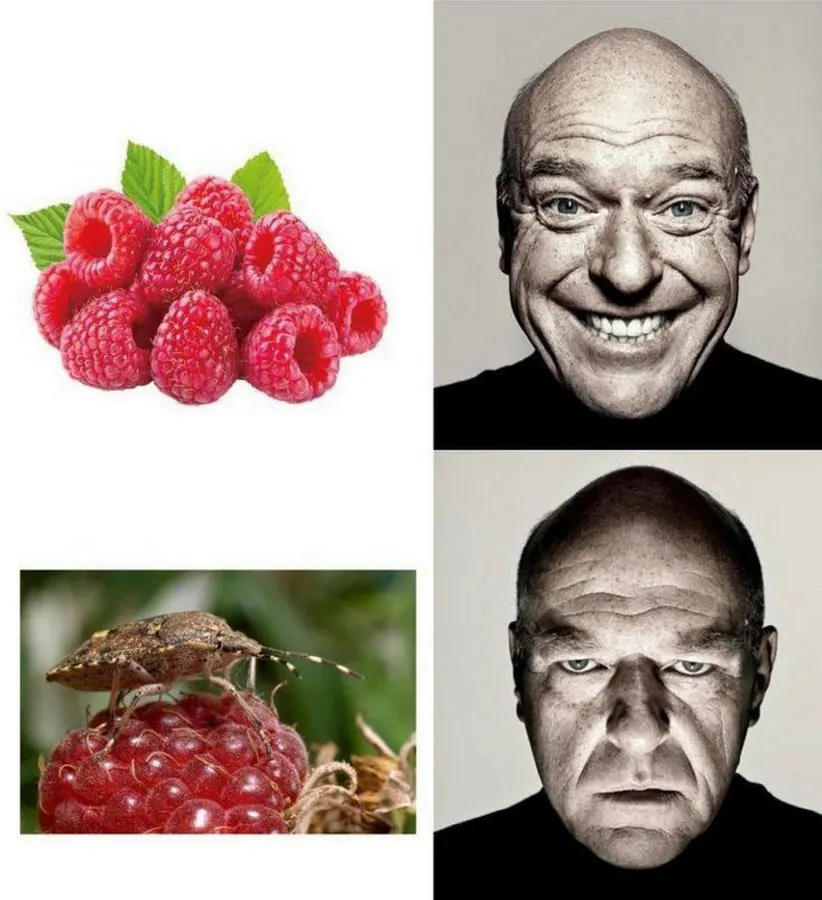 Untitled meme