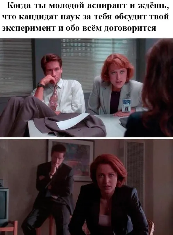 Untitled meme