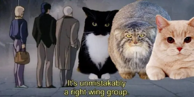 Untitled meme