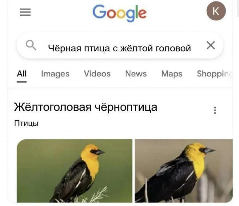 Untitled meme