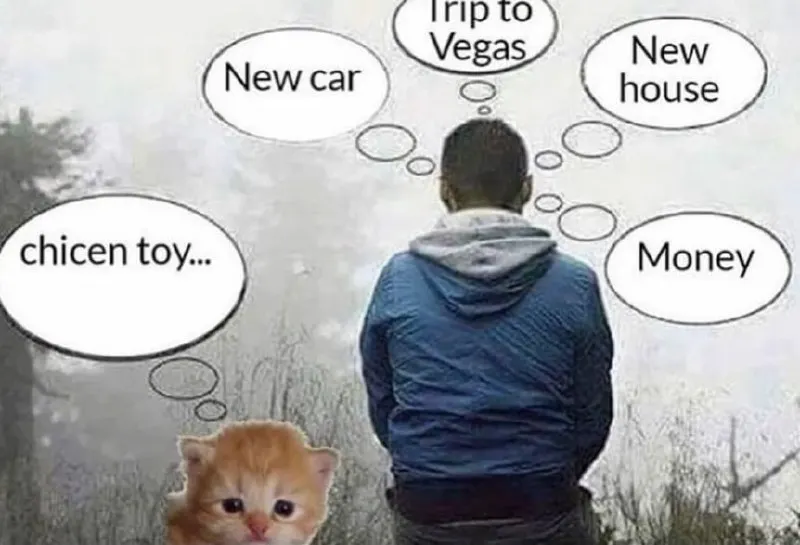 Untitled meme