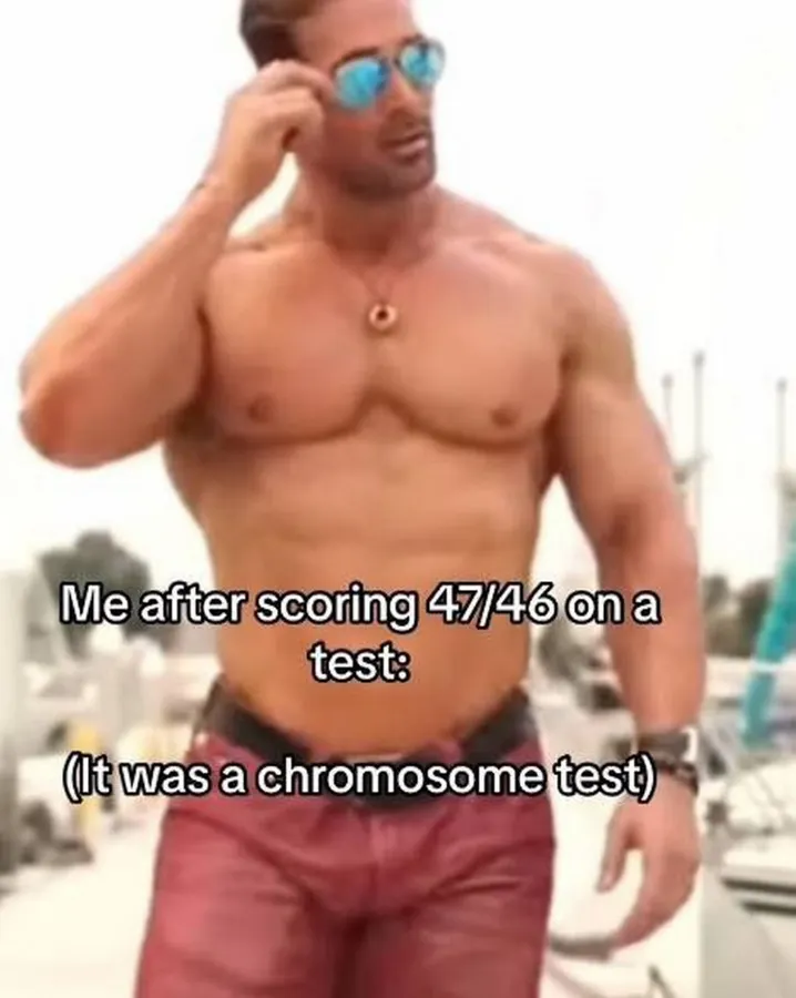 Untitled meme