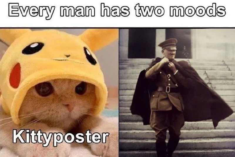 Untitled meme