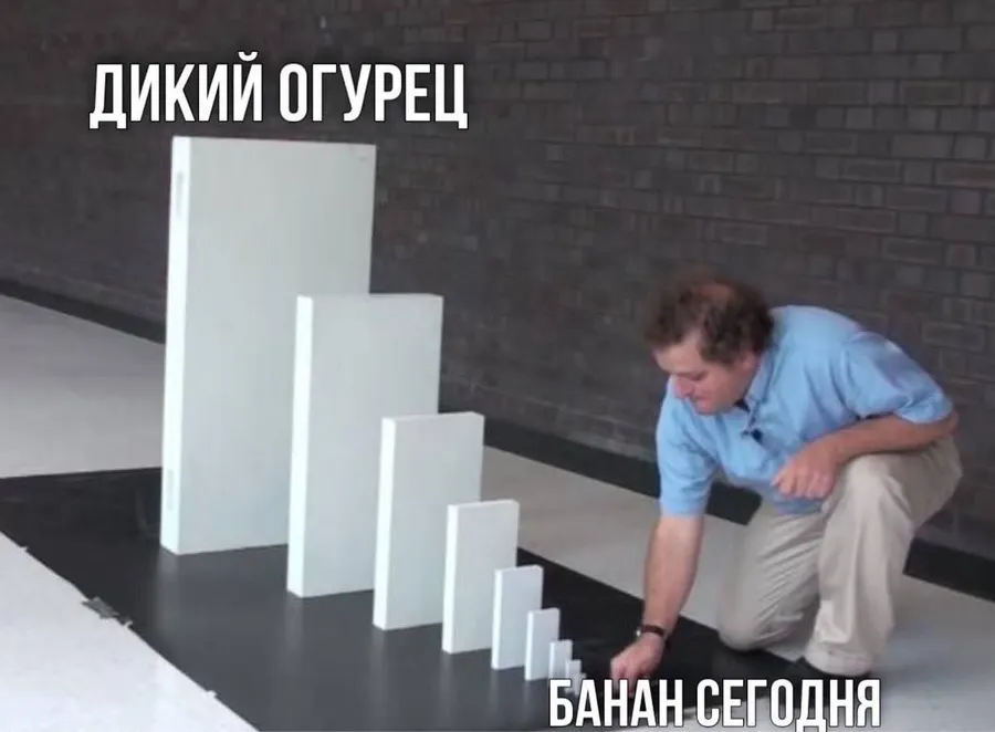 Untitled meme