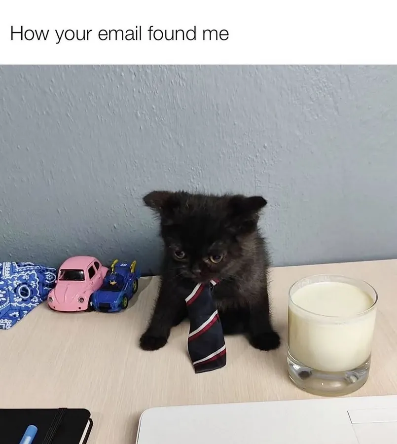 Untitled meme