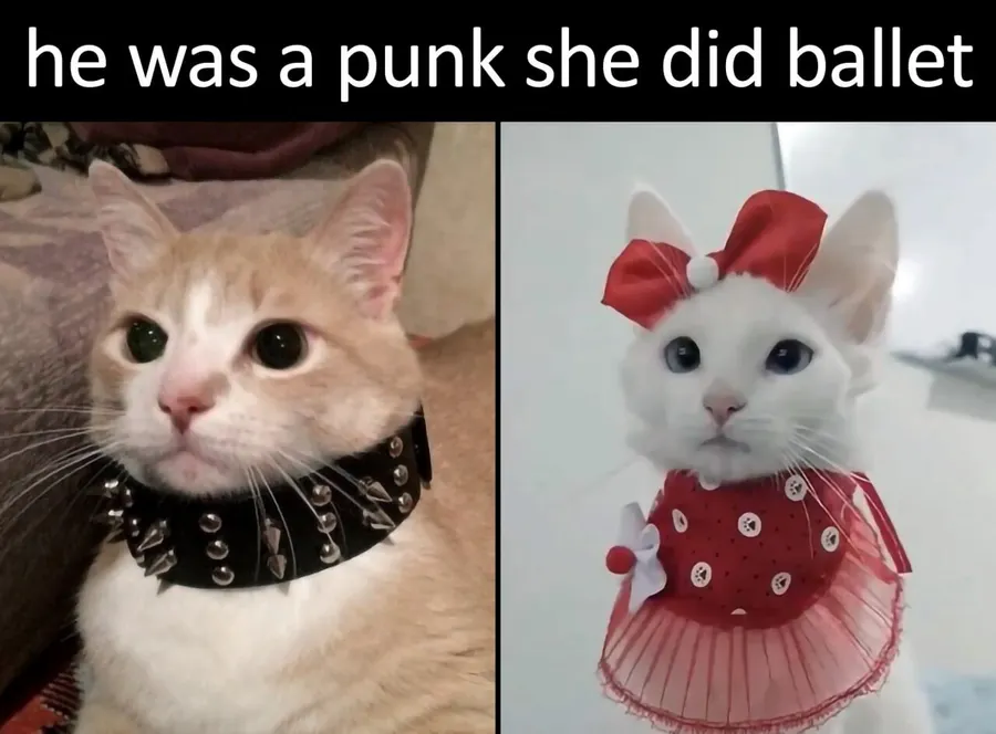 Untitled meme