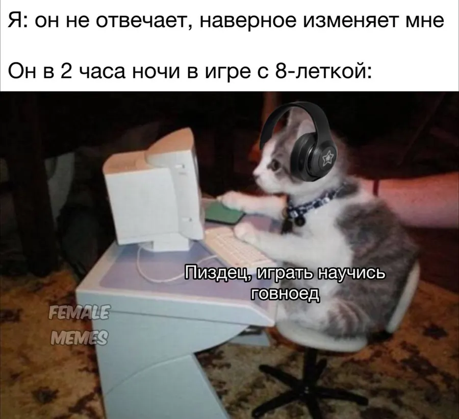 Untitled meme