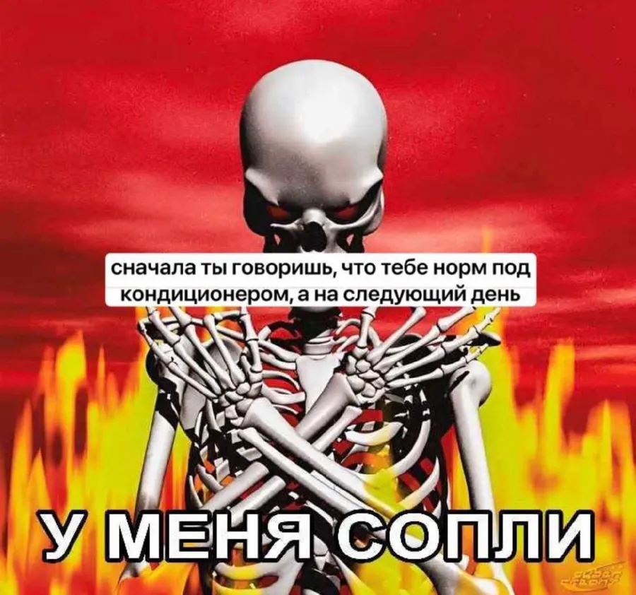 Untitled meme