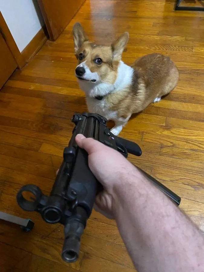 Untitled meme