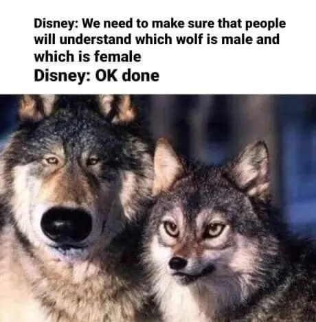 Untitled meme