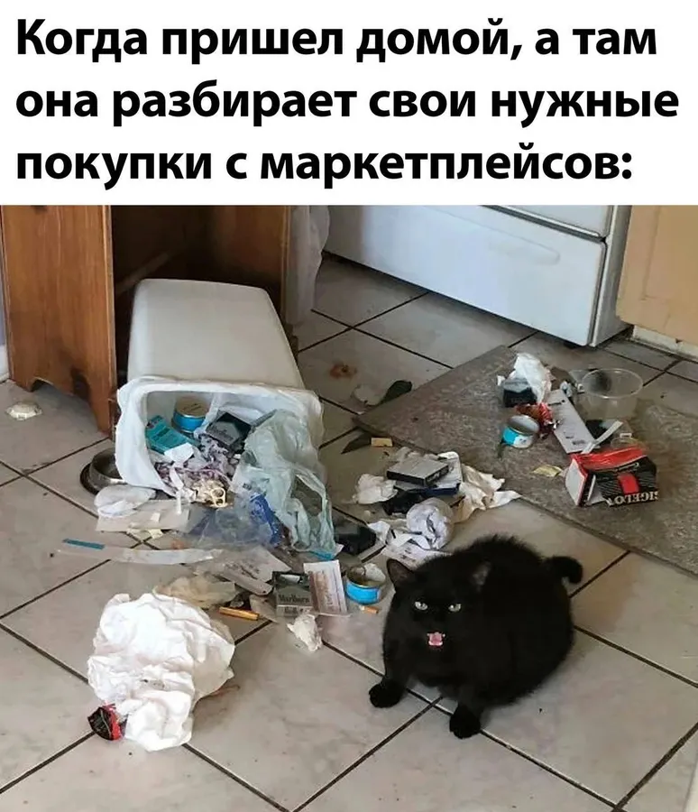 Untitled meme