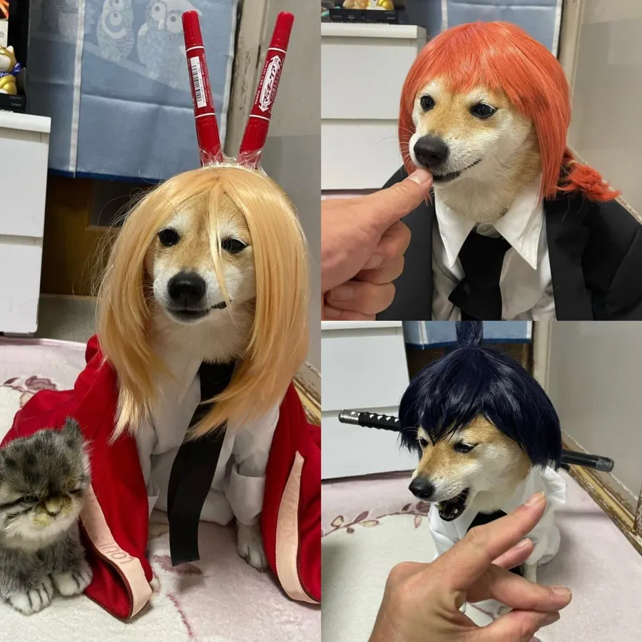 Untitled meme