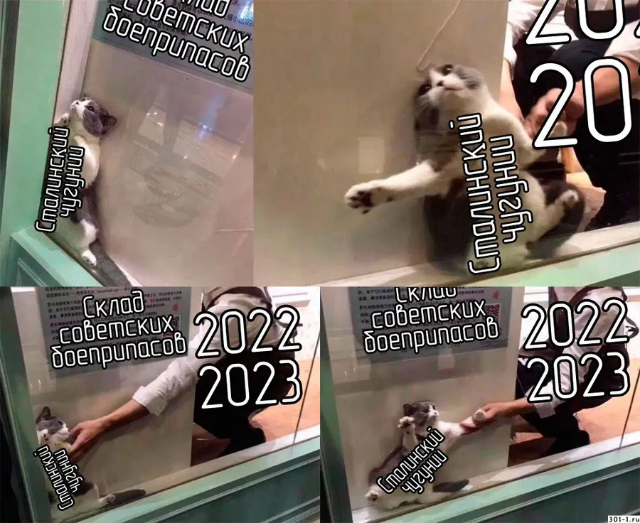 Untitled meme