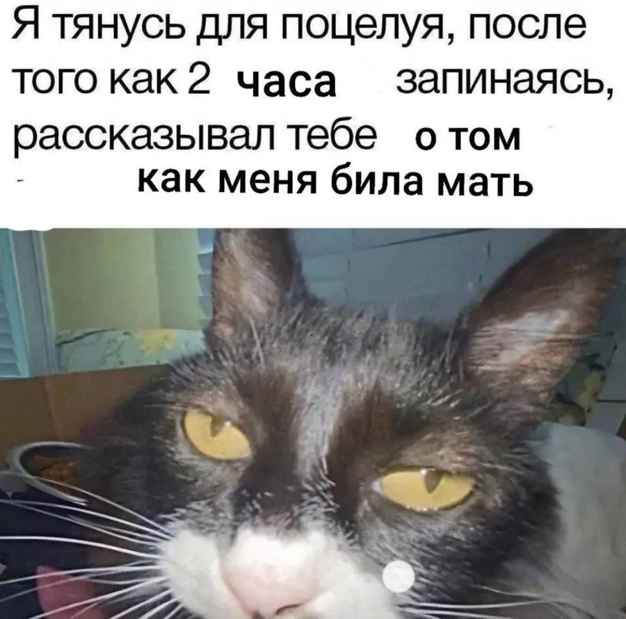 Untitled meme