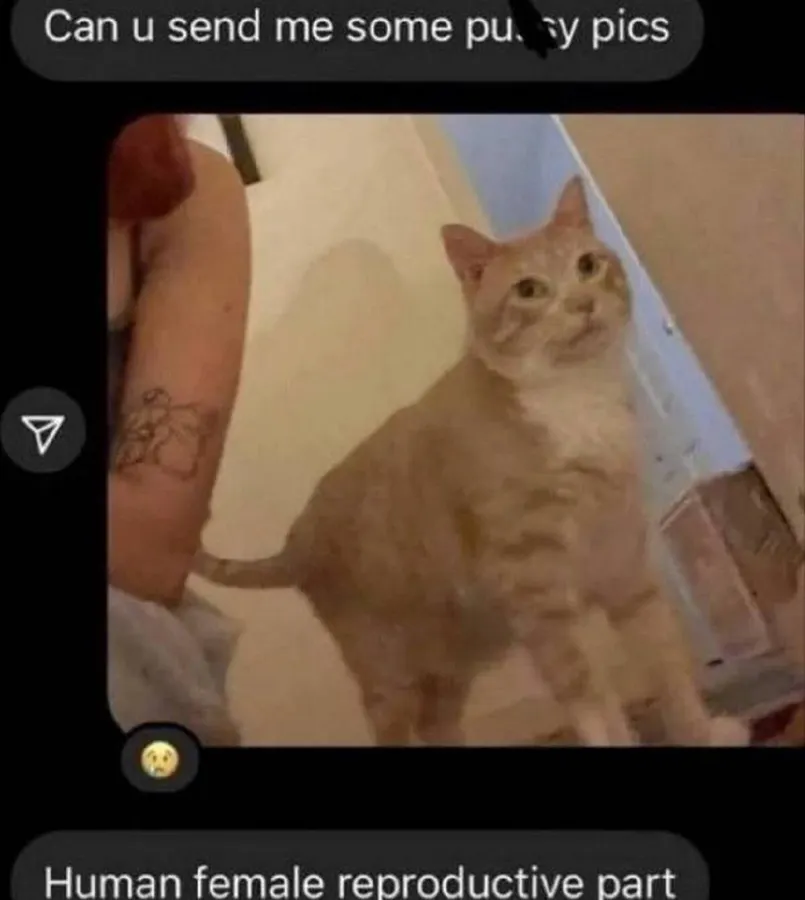 Untitled meme