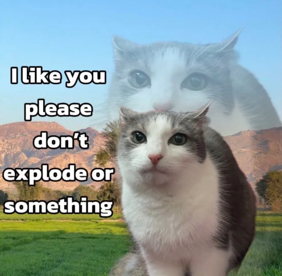 Untitled meme