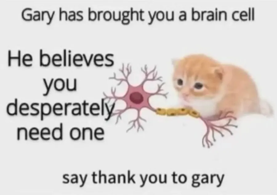 Untitled meme