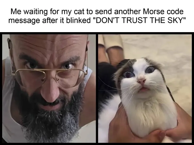Untitled meme