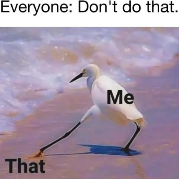 Untitled meme