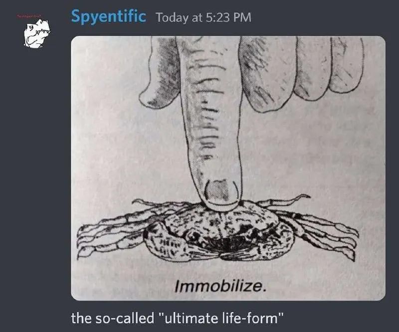 Untitled meme