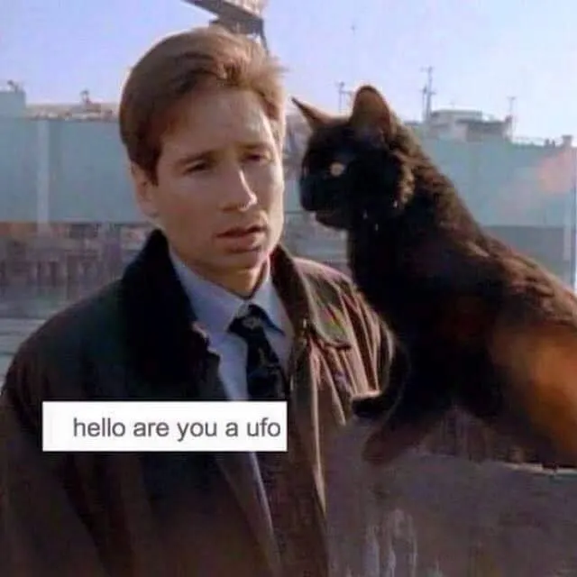 Untitled meme