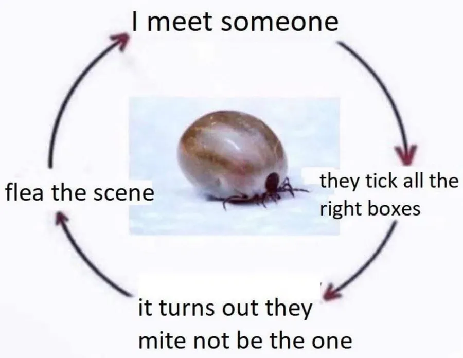 Untitled meme