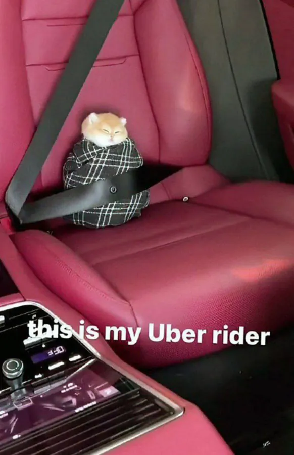 Untitled meme