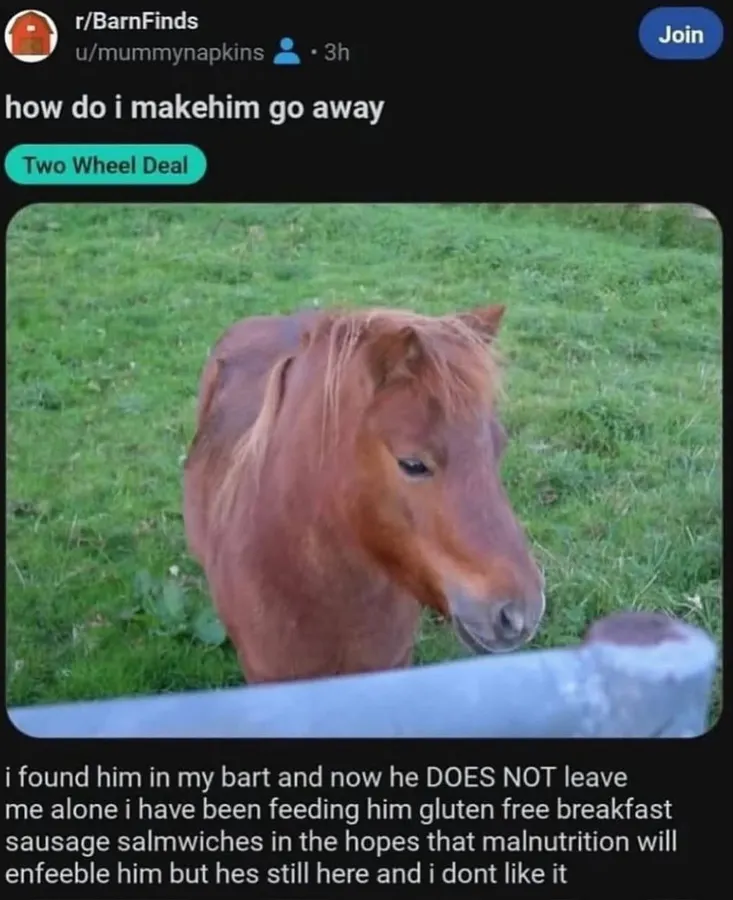 Untitled meme