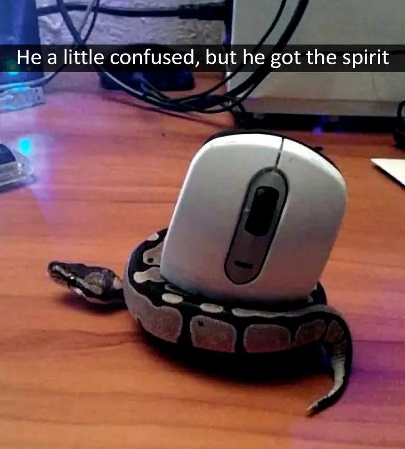Untitled meme