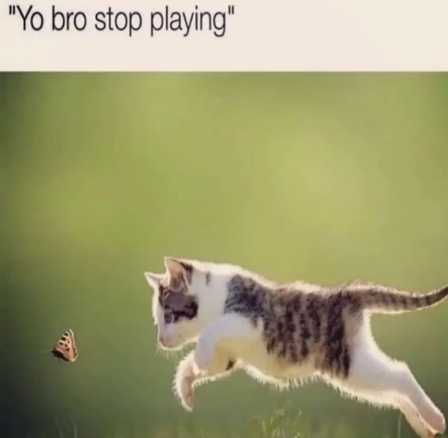 Untitled meme