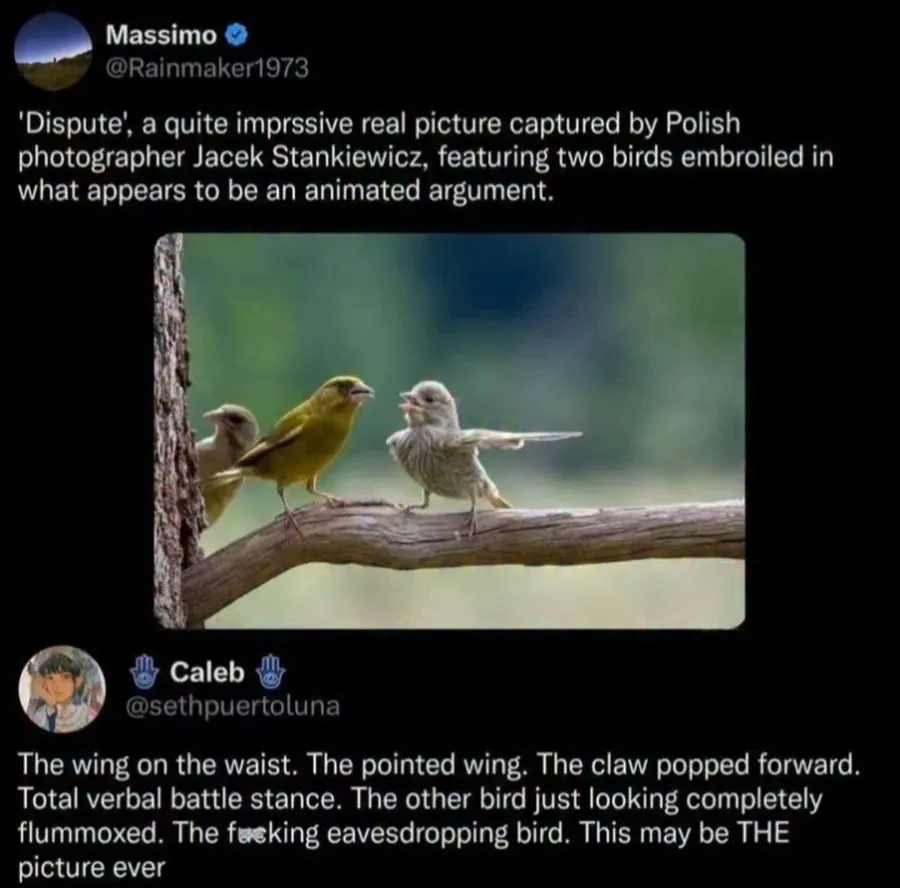 Untitled meme