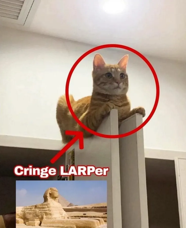 Untitled meme