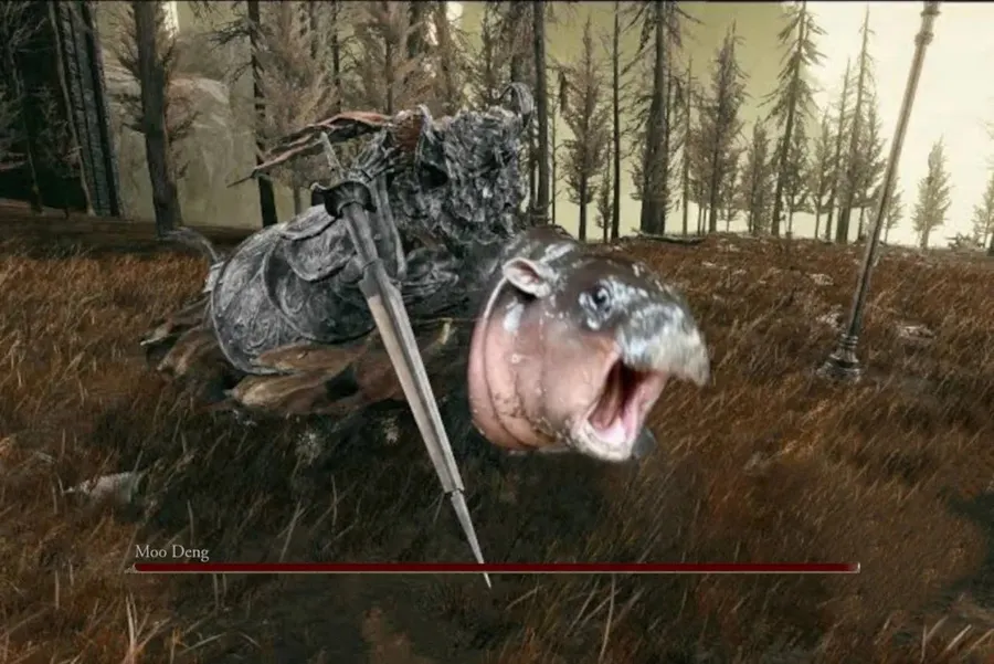 Untitled meme