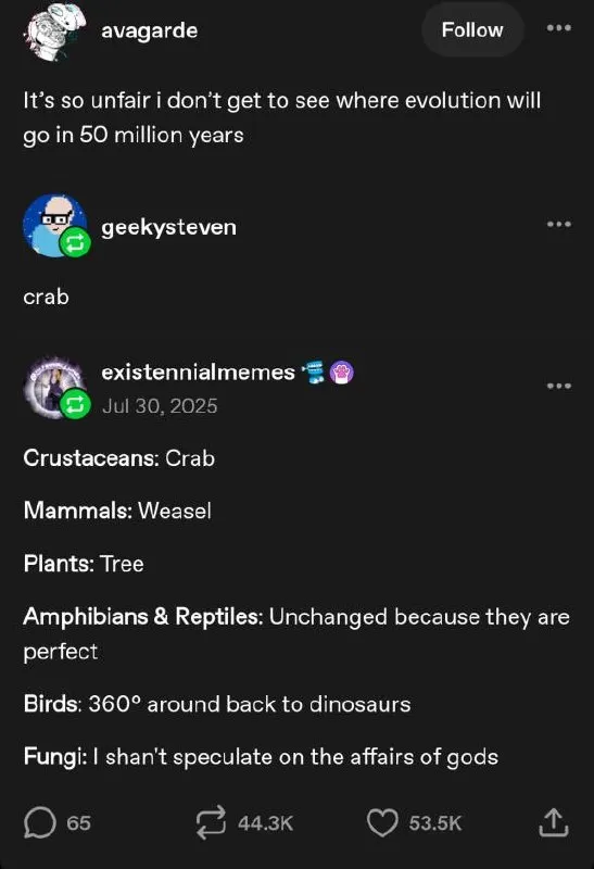 Untitled meme