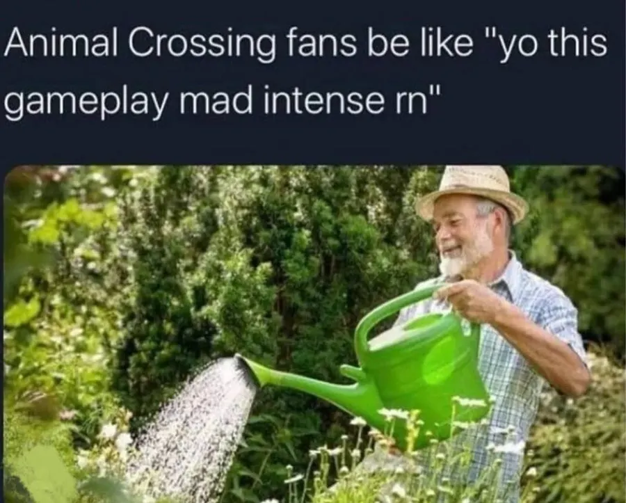 Untitled meme