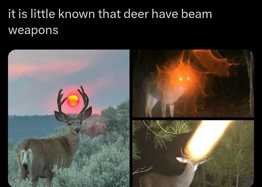Untitled meme