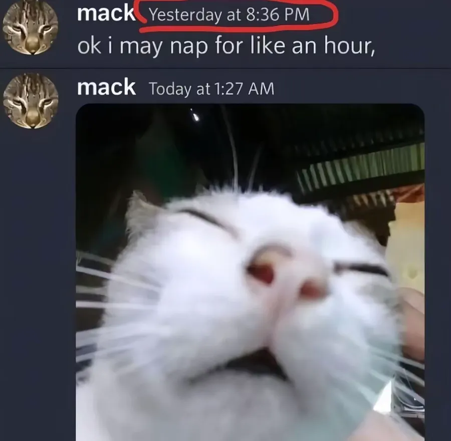 Untitled meme