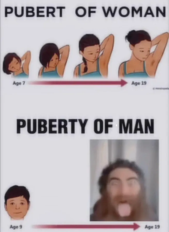 Untitled meme