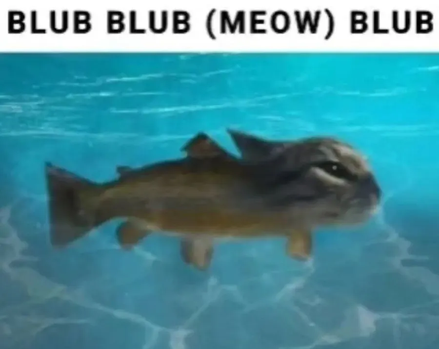 Untitled meme
