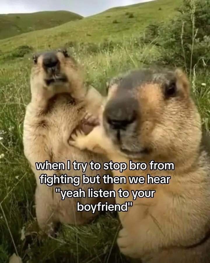 Untitled meme