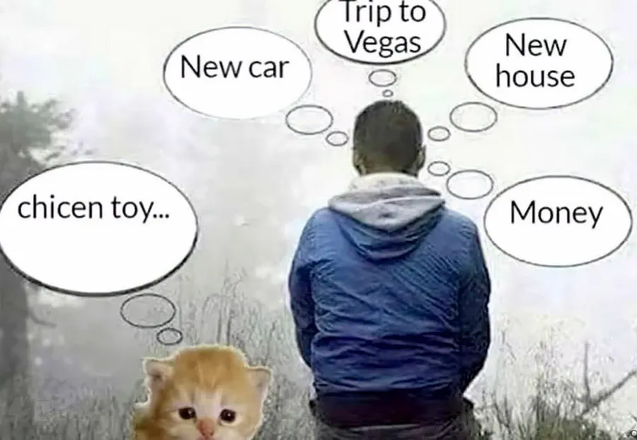 Untitled meme