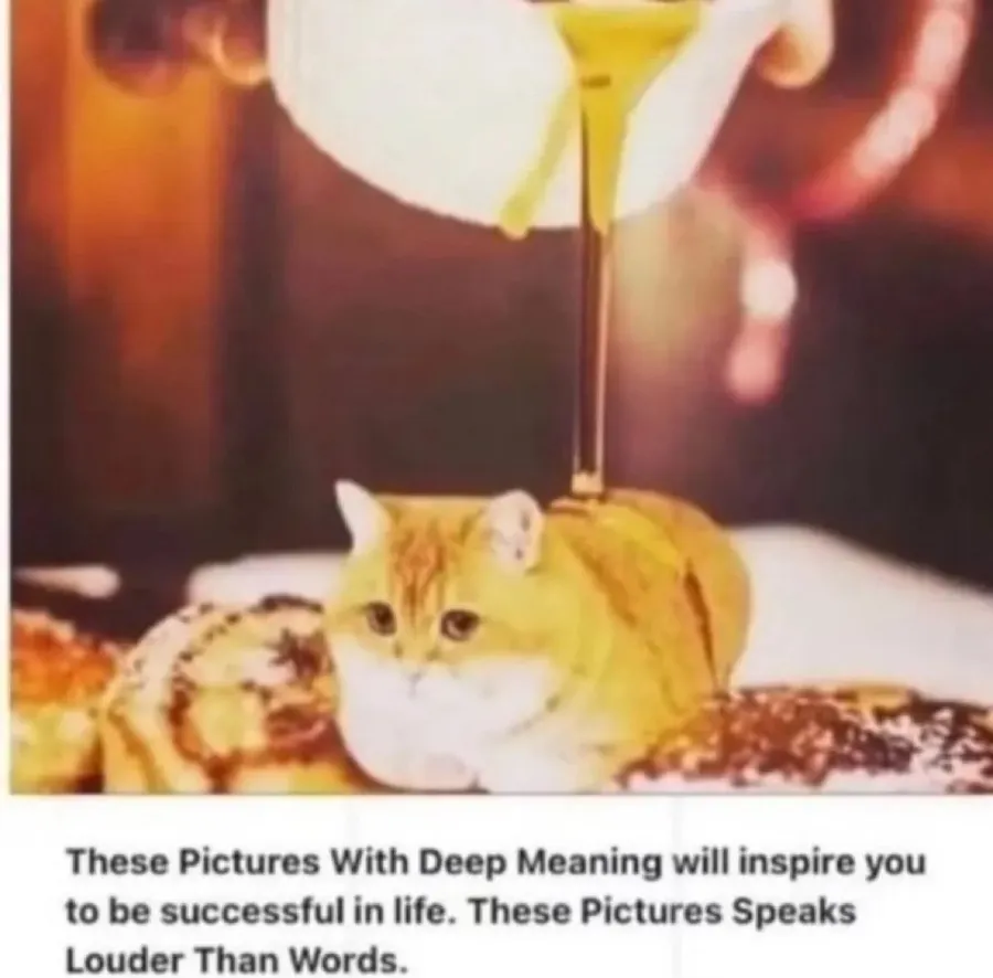 Untitled meme