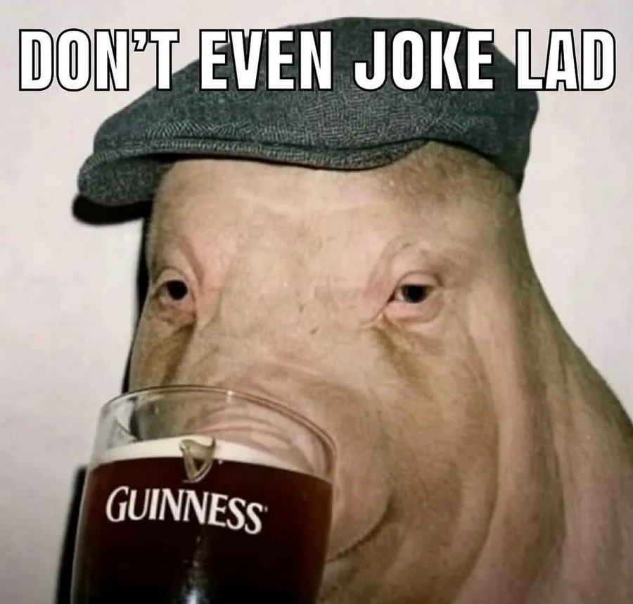 Untitled meme