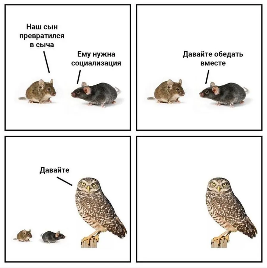 Untitled meme