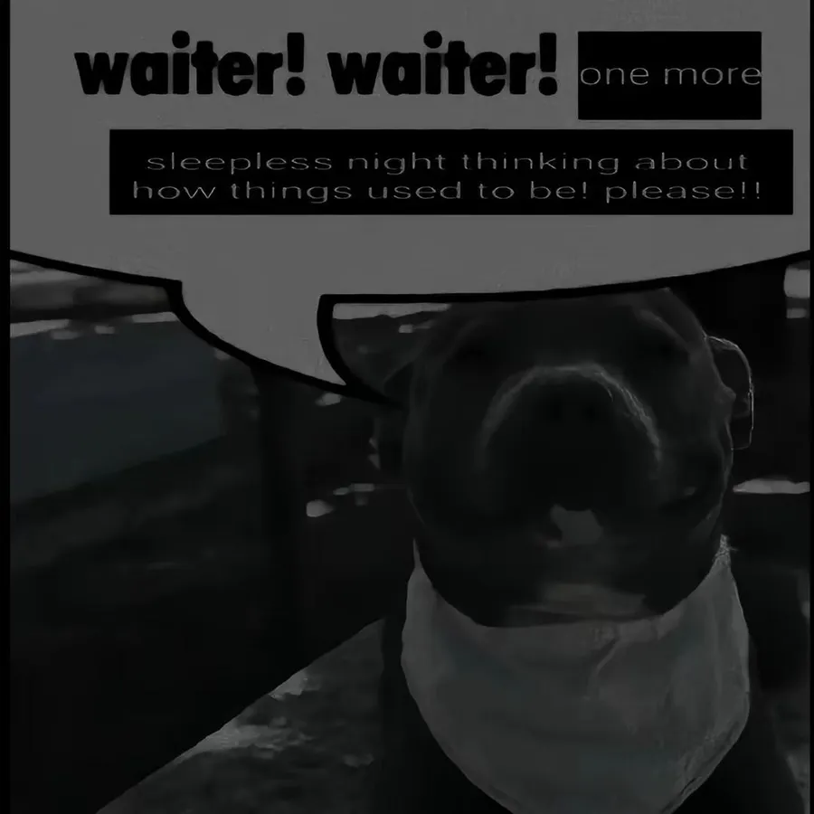 Untitled meme