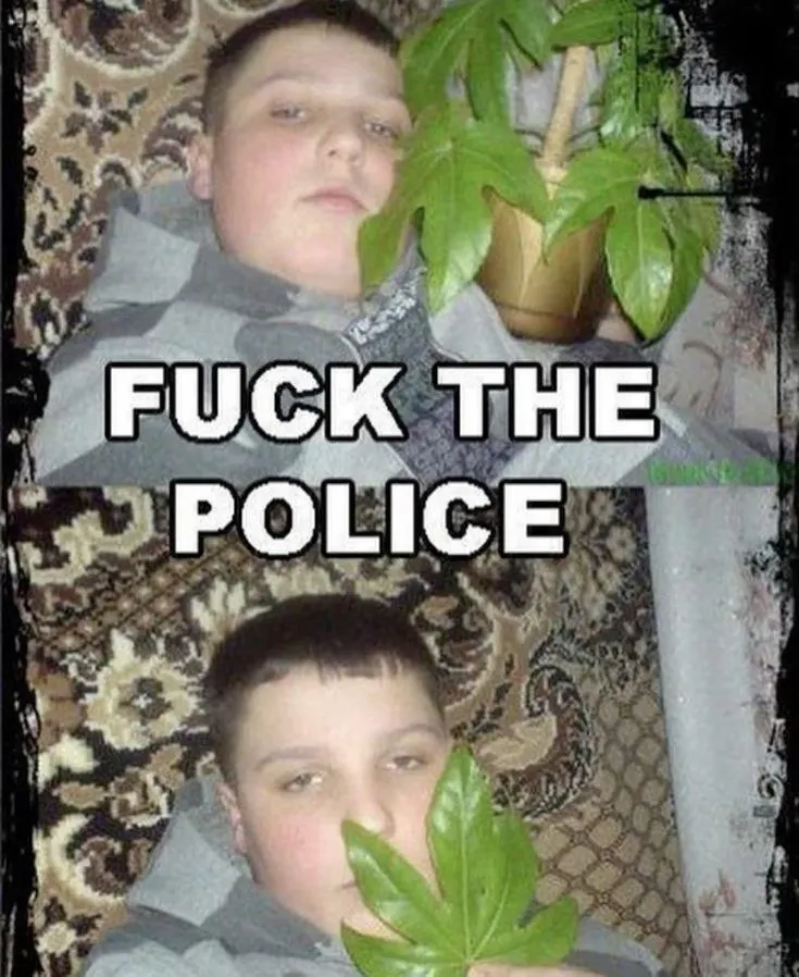 Untitled meme