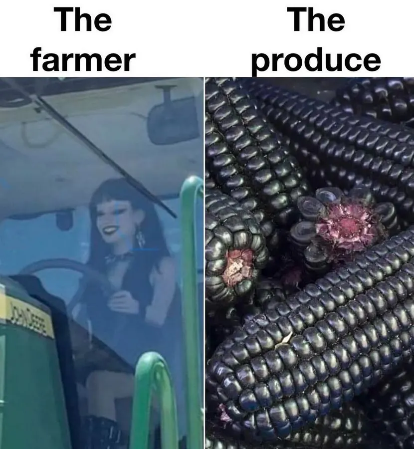 Untitled meme